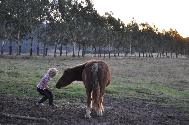 Katya and her horse