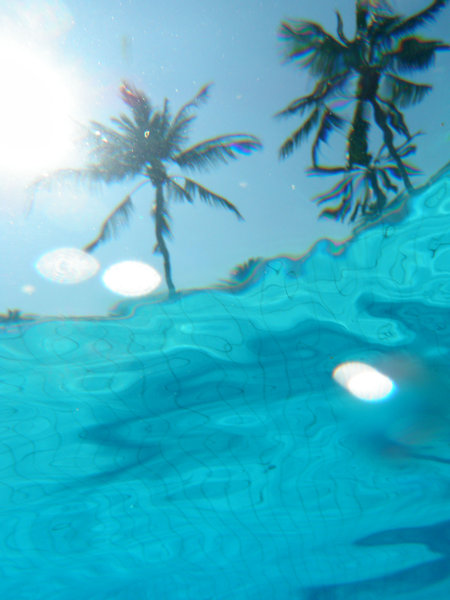 Underwater Palms