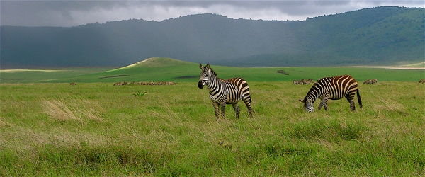 Ngorongoro landscape II