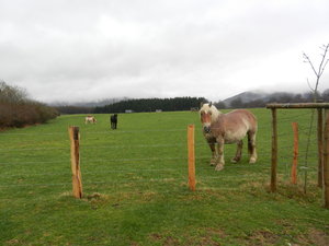 Leaving Roncesvalles