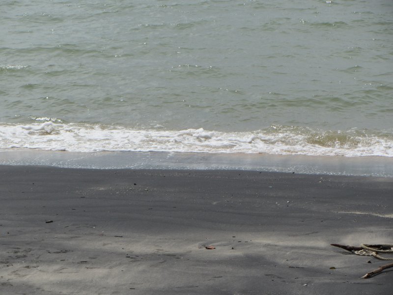 Black Sand Coast