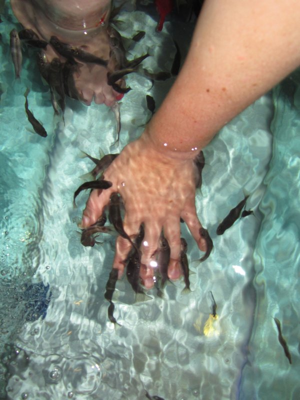 Fish Spa, Hand