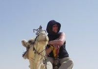 Laila the Tuareg