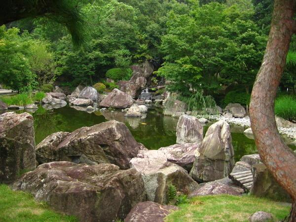 pond in ninomaru garden, matsuyama