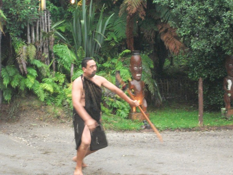 Maori night welcome dance