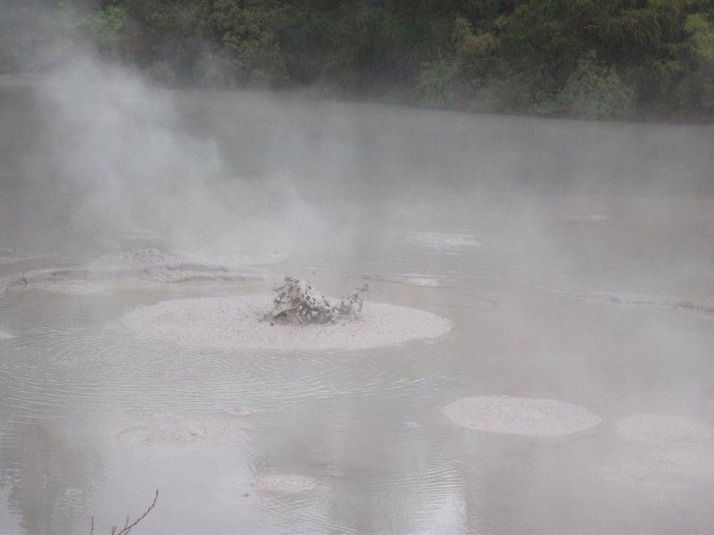 Bubbling mud pool at Wai-o-Tapu