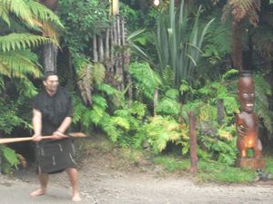 Maori night welcome dance 
