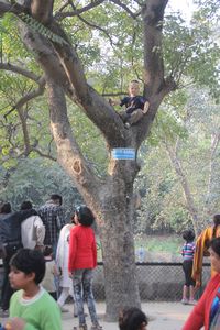 ny attraksjon i Delhi Zoo: hvit gutt i tre
