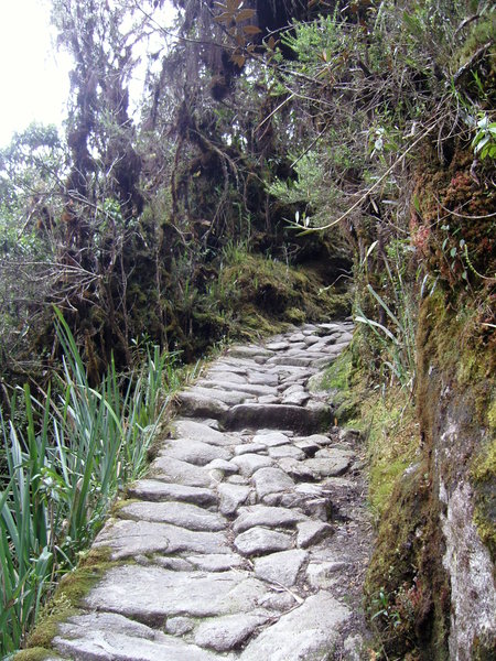 Inka trail