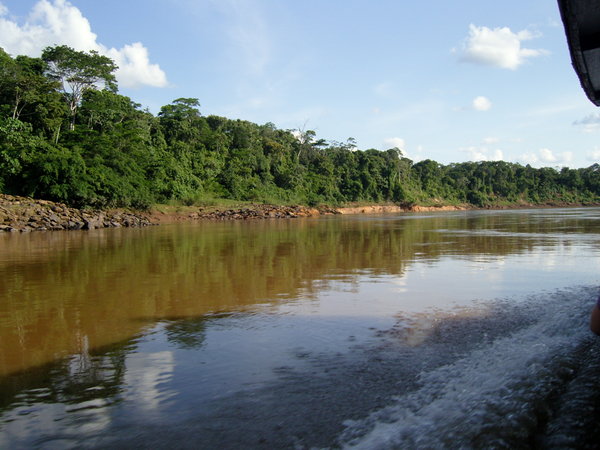 Tambopata river
