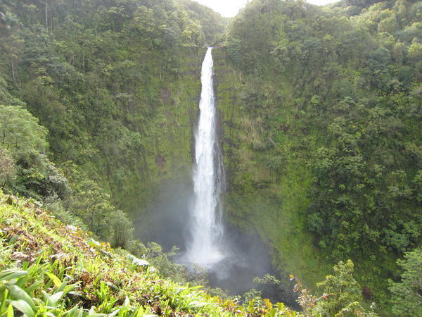 Akaka Falls on Big Island