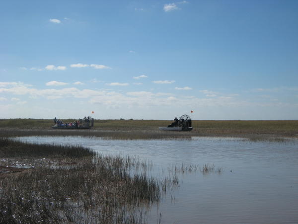 The stranded air boat on the reeds!