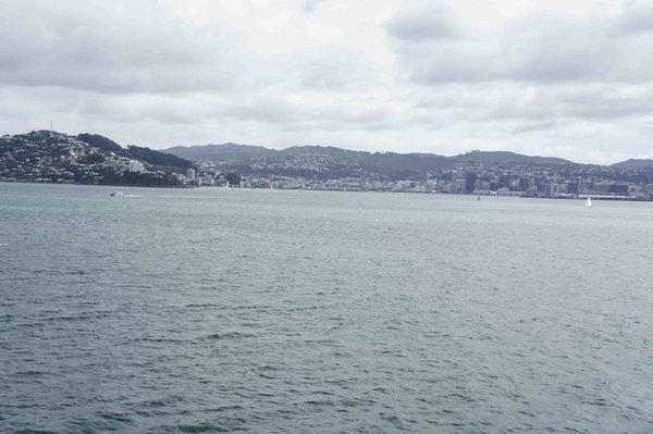 Windy Wellington from the sea..