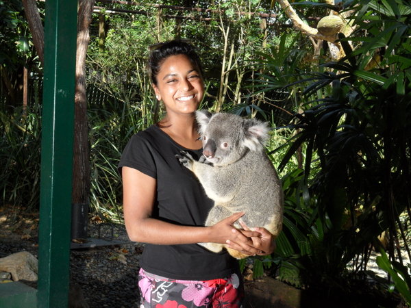 Chloe and the Koala