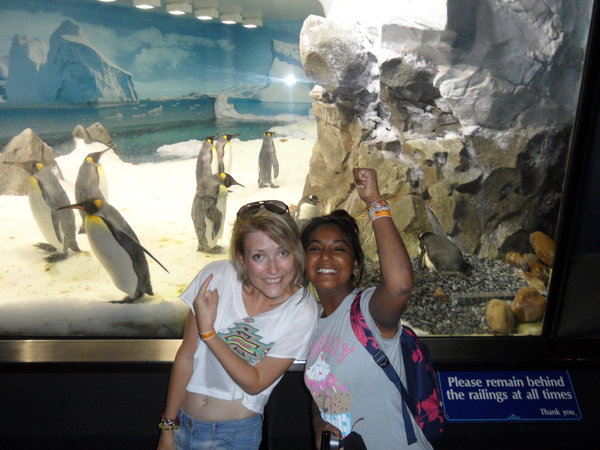 Us with the Penguins