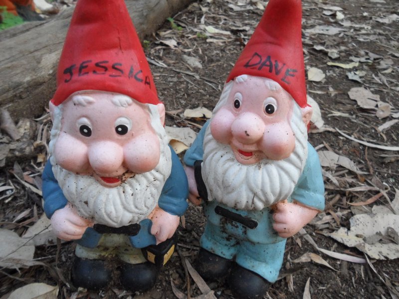 Jess and Dave Gnomes
