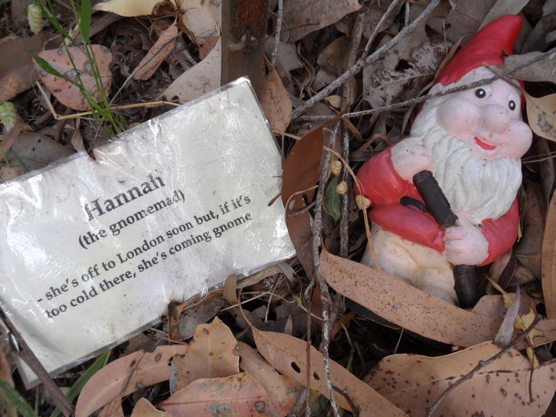 Hannah Graham (Barrows) Gnome