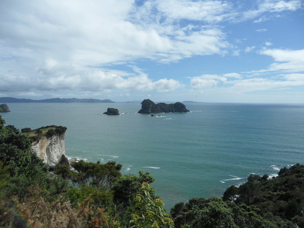 Looking over Cathedral Cove