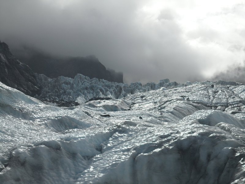 Fox Glacier, South Island