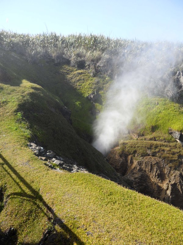 Blowholes at Pancake Rocks, South Island.