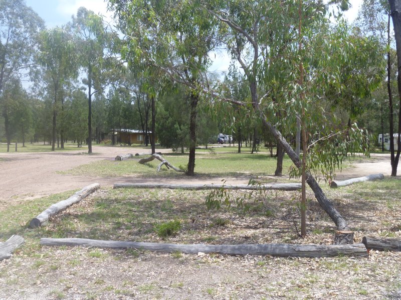 Camping area at Columboola Country