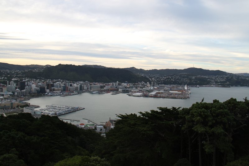 View from the Mt. Victoria in Wellington