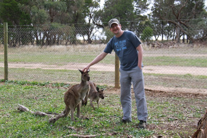 With the kangaroos!