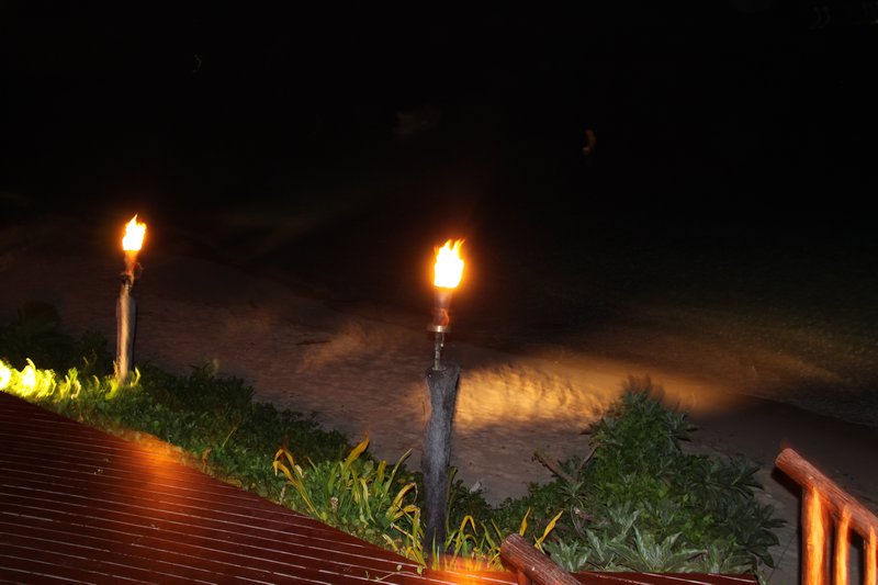 Beach by night