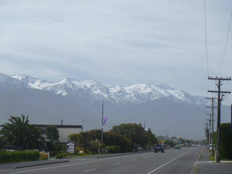View From Kaikoura Hotel