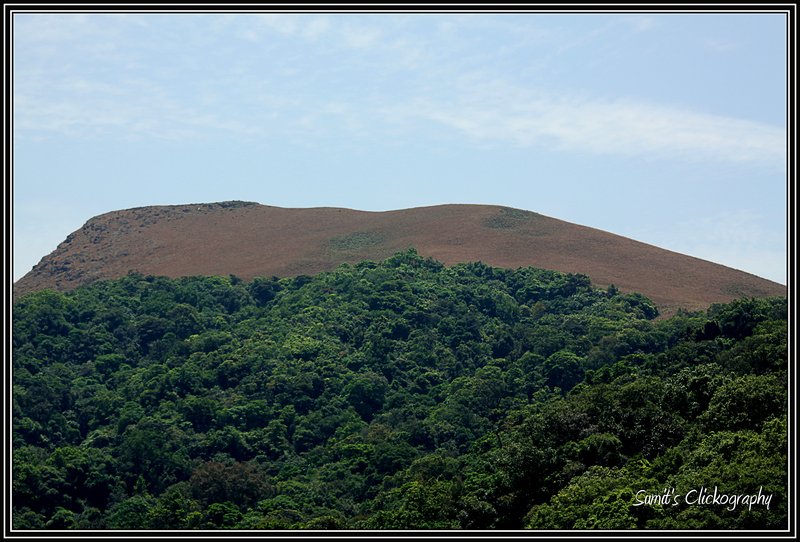 Malnad Hills