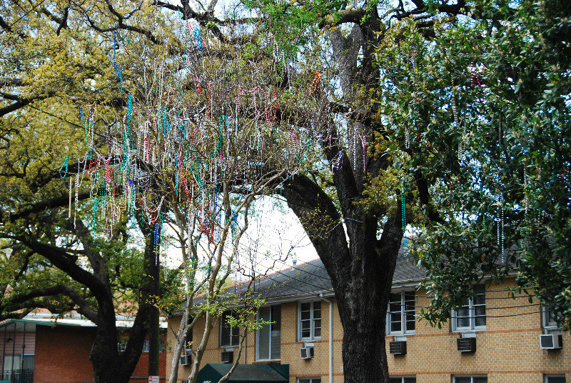 Beads on tree