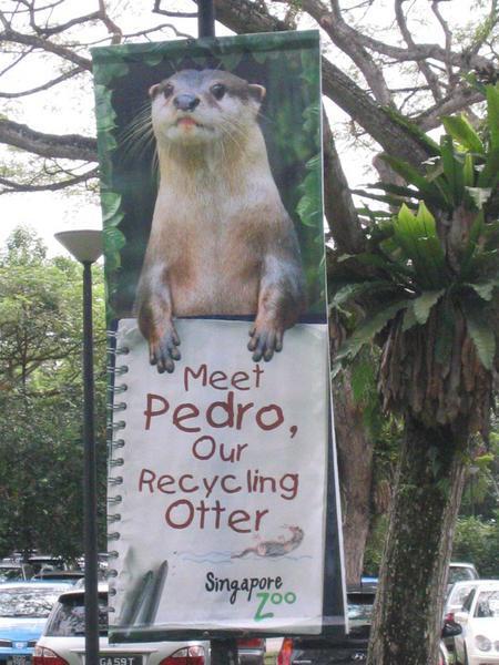 Recycling Otter