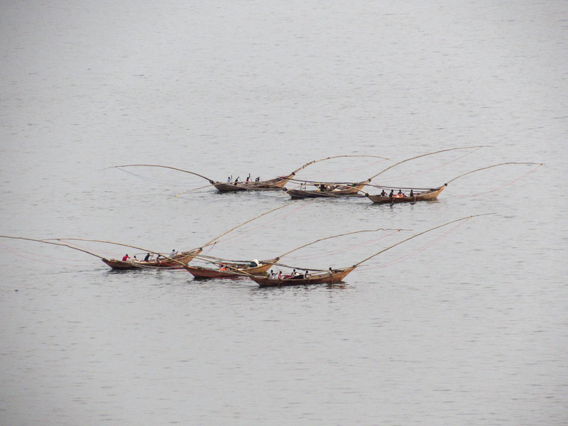Fishing boats heading out onto the lake, Gisenyi