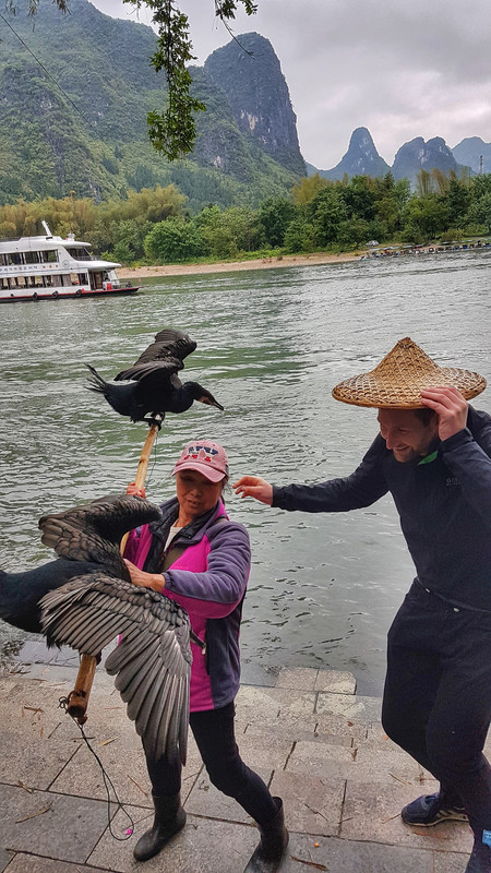 Being attacked by cormorant lady 