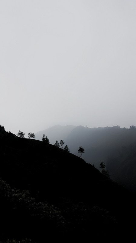Munnar in the mist