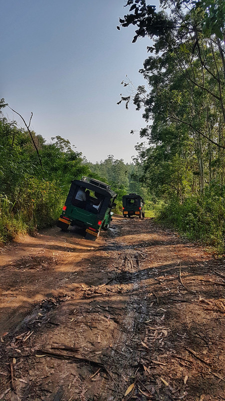 Muthanga jeep safari