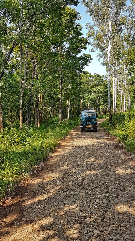 Muthanga jeep safari