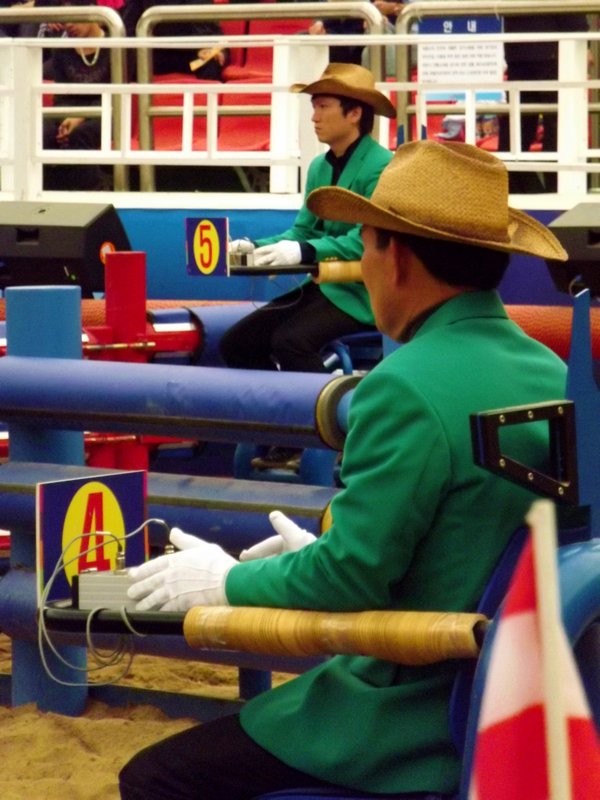 Bullfighting Umpires