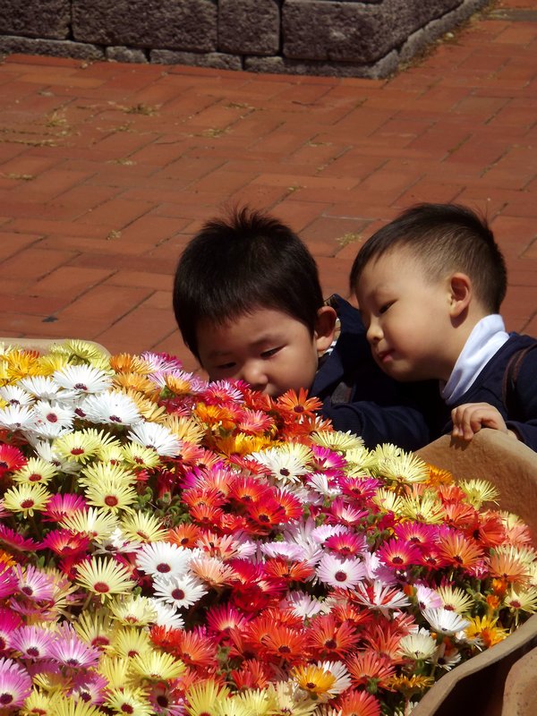 The babies admiring the flower