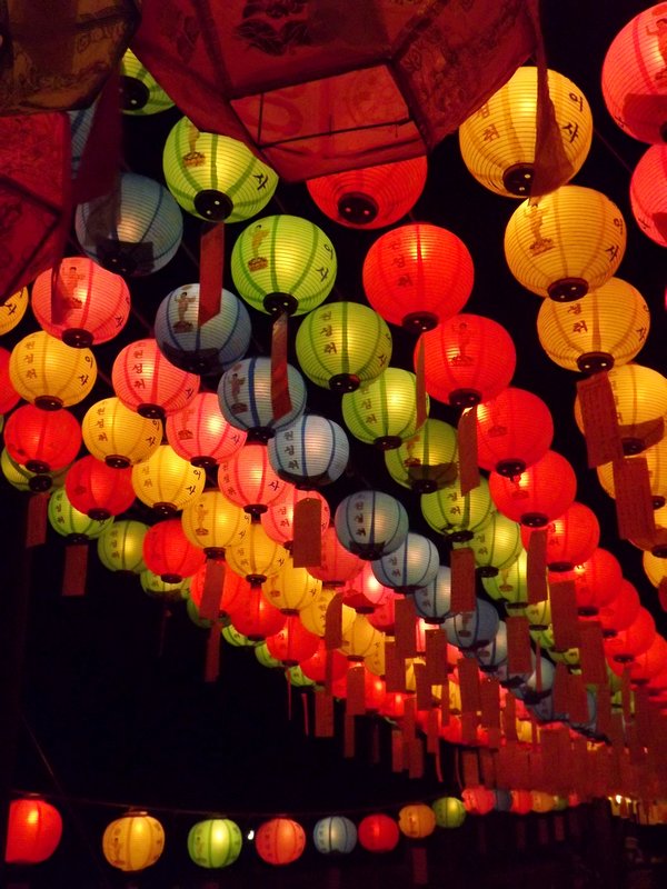 Colourful Lotus Lanterns