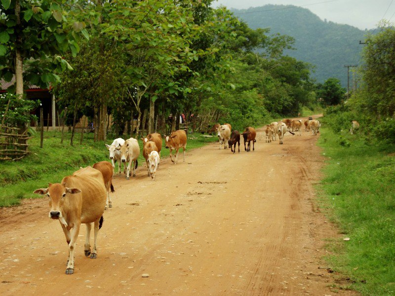 The traffic in Laos