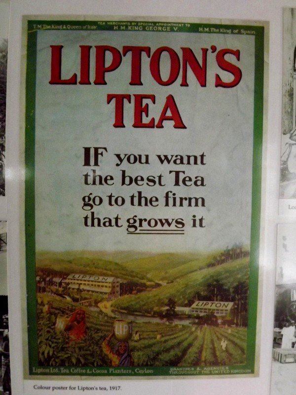 Liptons Tea