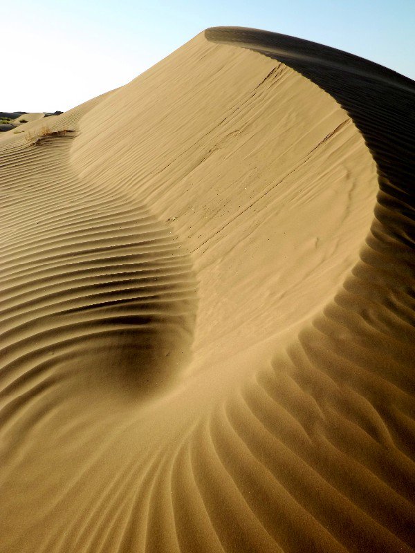 Sand dune patterns
