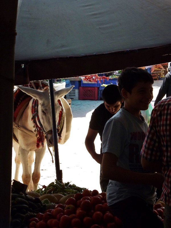 Donkey about to steal some vegetables in the bazaar, Mardin