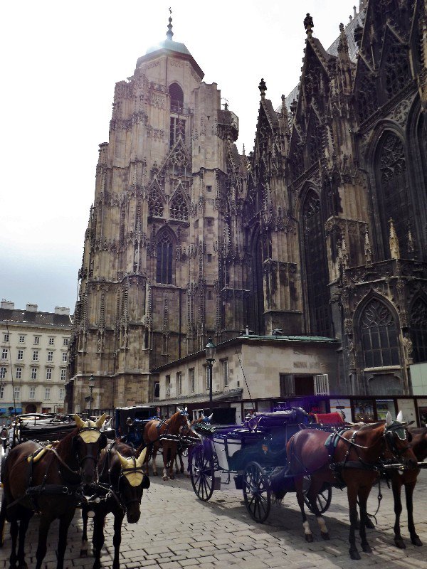 Horses outside Stephansdom Cathedral, Vienna