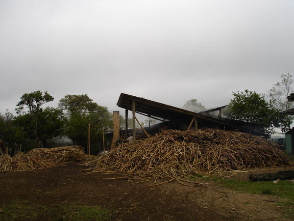 Sugar Cane factory in San Augustin, Colombia