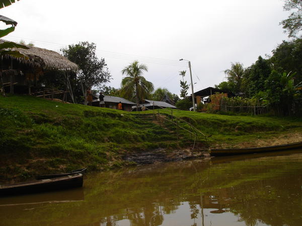Jaguars Village, Peruvian Amazon