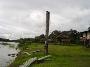 Zacambu Village, River Yavari, Amazon