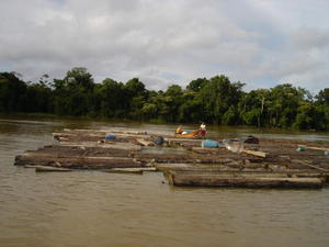 loggers on the River Yavari, Amazon