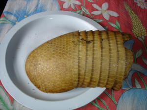 armadillo for lunch anyone